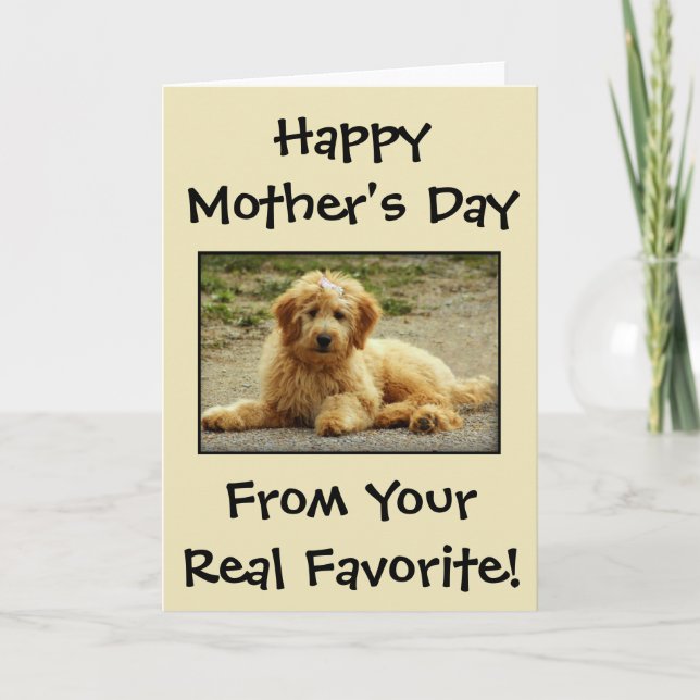 Mother's Day Personalized From The Dog Photo Card (Front)
