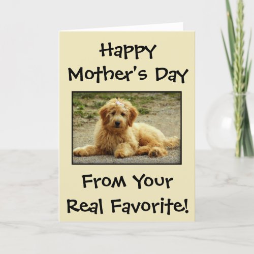 Mothers Day Personalized From The Dog Photo Card