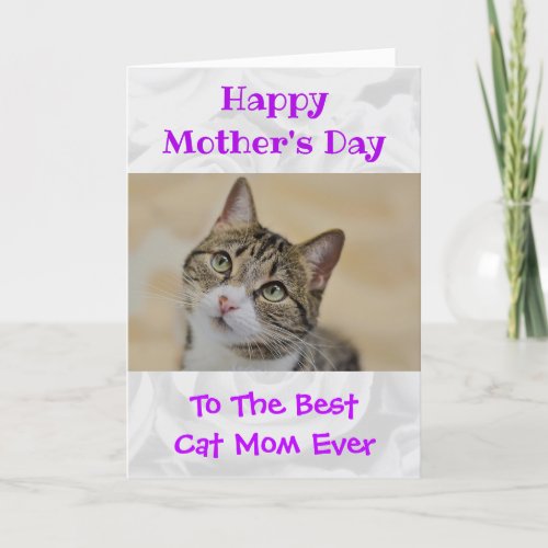 Mothers Day Photo Cat Mom Worlds Best Ever Pet Holiday Card
