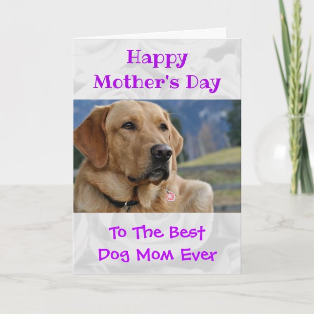 Mother's Day Photo Dog Mom World's Best Ever Pet Holiday Card (Front)