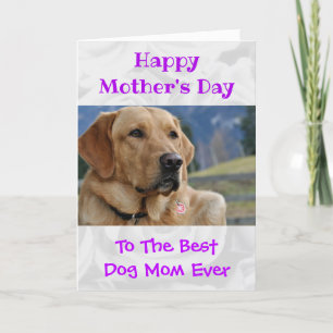 Mother's Day Photo Dog Mom World's Best Ever Pet Holiday Card