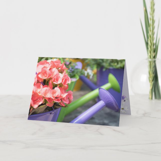 Mother's Day-pink begonia in watering can Card (Front)