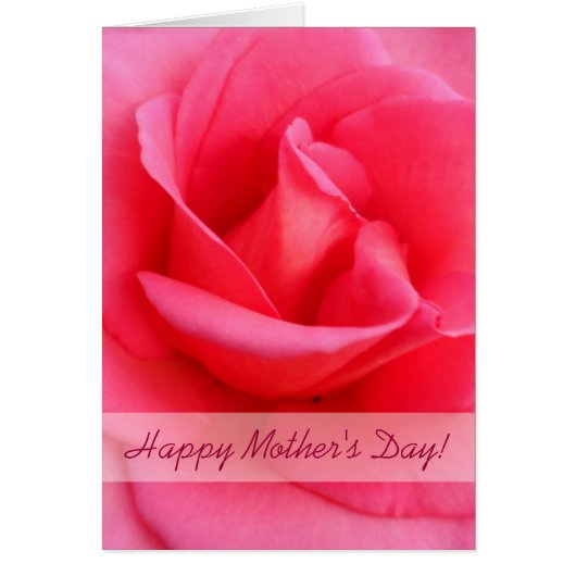 Mother's Day Pink Rose Cards (Front)