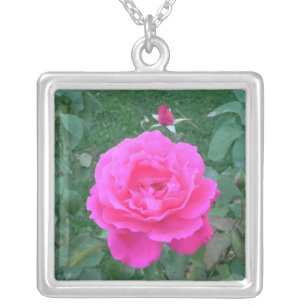 Mother's Day Pink Rose Silver Plated Necklace