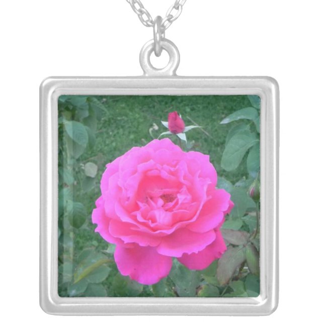 Mother's Day Pink Rose Silver Plated Necklace (Front)