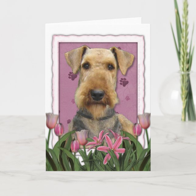 Mothers Day - Pink Tulips - Airedale Card (Front)