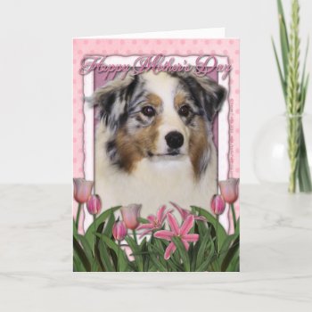 Mothers Day - Pink Tulips - Australian Shepherd Card by FrankzPawPrintz at Zazzle