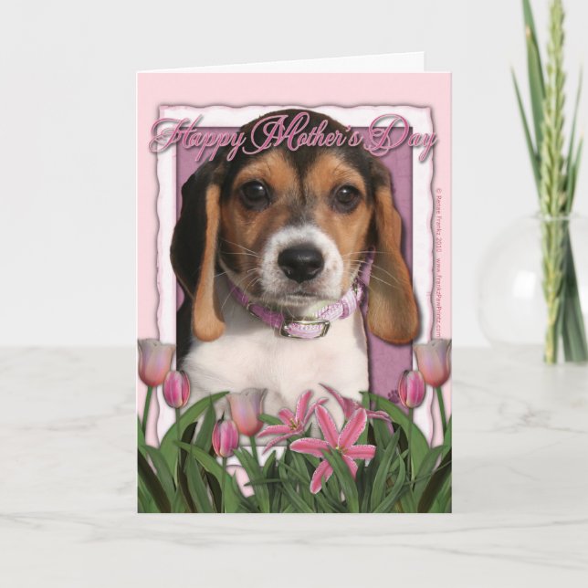 Mothers Day - Pink Tulips - Beagle Puppy Card (Front)
