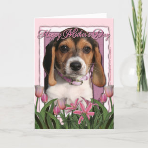 Mothers Day - Pink Tulips - Beagle Puppy Card