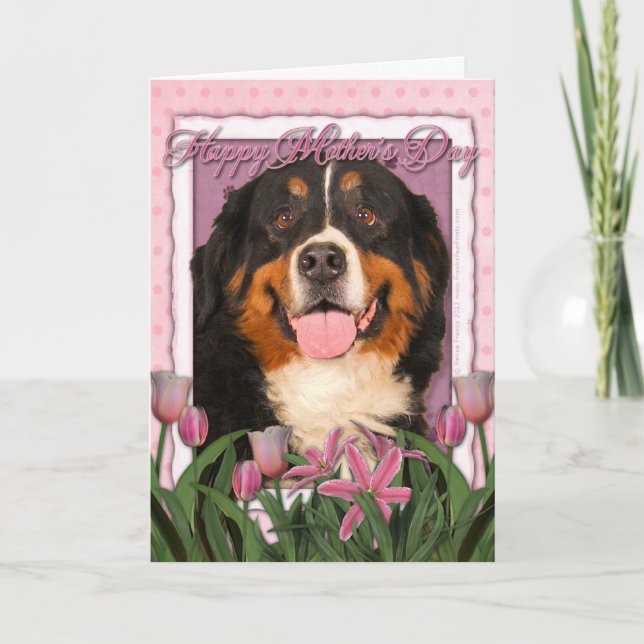 Mothers Day - Pink Tulips - Bernese Mountain Dog Card (Front)