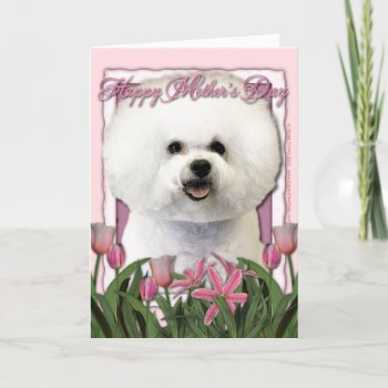 Mothers Day - Pink Tulips - Bichon Frise Card by FrankzPawPrintz at Zazzle