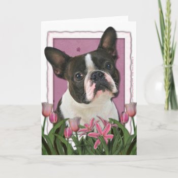 Mothers Day - Pink Tulips - Boston Terrier Card by FrankzPawPrintz at Zazzle