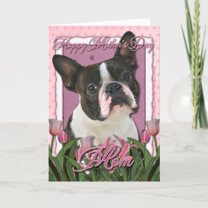 happy mothers day boston terrier