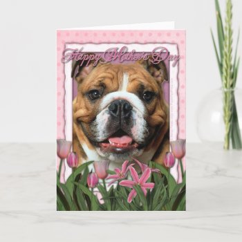 Mothers Day - Pink Tulips - Bulldog Card by FrankzPawPrintz at Zazzle
