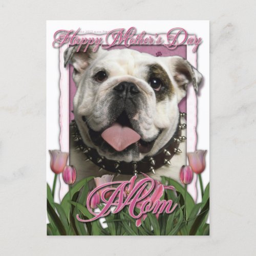 Mothers Day _ Pink Tulips _ Bulldog Postcard