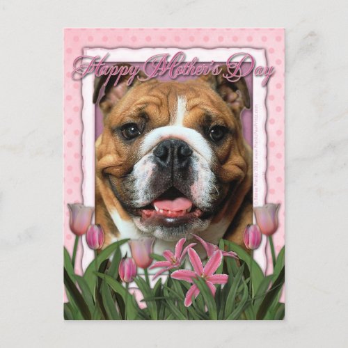 Mothers Day _ Pink Tulips _ Bulldog Postcard