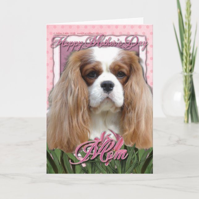 Mothers Day - Pink Tulips - Cavalier - Blenheim Card (Front)