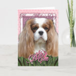 Mothers Day - Pink Tulips - Cavalier - Blenheim Card at Zazzle