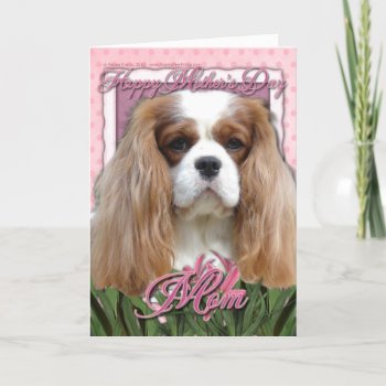 Mothers Day - Pink Tulips - Cavalier - Blenheim Card by FrankzPawPrintz at Zazzle