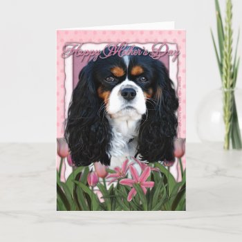 Mothers Day - Pink Tulips - Cavalier - Tri-color Card by FrankzPawPrintz at Zazzle