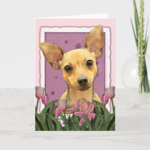 Mothers Day - Pink Tulips - Chihuahua Card