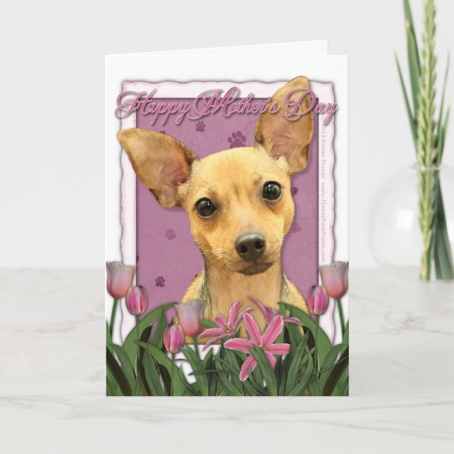 Mothers Day - Pink Tulips - Chihuahua Card (Front)