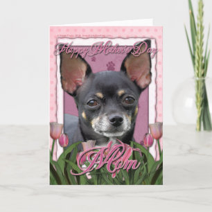 Mothers Day - Pink Tulips - Chihuahua - Isabella Card