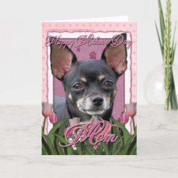 Mothers Day - Pink Tulips - Chihuahua - Isabella Card by FrankzPawPrintz at Zazzle