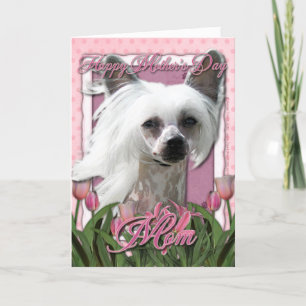 Mothers Day - Pink Tulips - Chinese Crested -Kahlo Card