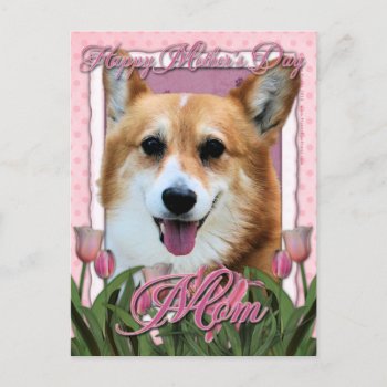 Mothers Day - Pink Tulips - Corgi - Owen Postcard by FrankzPawPrintz at Zazzle