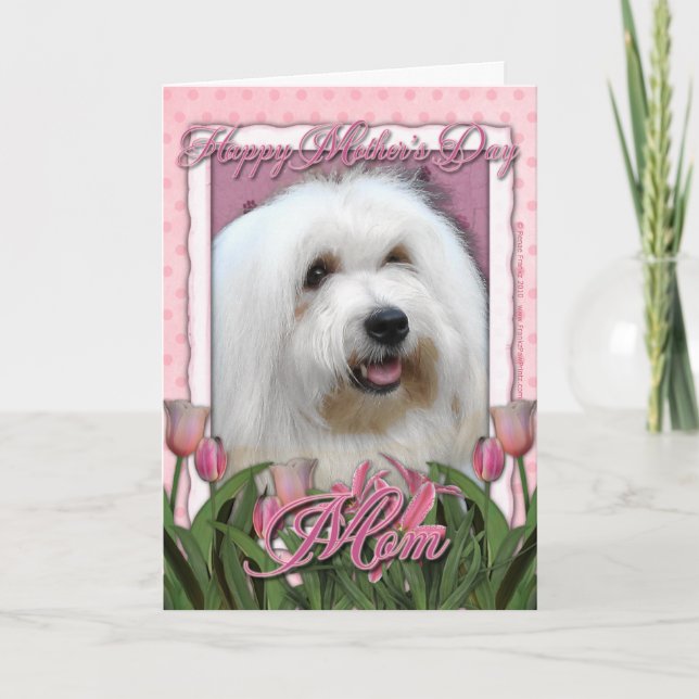 Mothers Day - Pink Tulips - Coton de Tulear Card (Front)