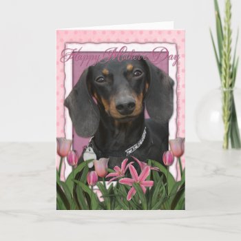 Mothers Day - Pink Tulips - Dachshund - Winston Card by FrankzPawPrintz at Zazzle