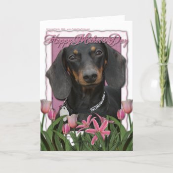 Mothers Day - Pink Tulips - Dachshund - Winston Card by FrankzPawPrintz at Zazzle
