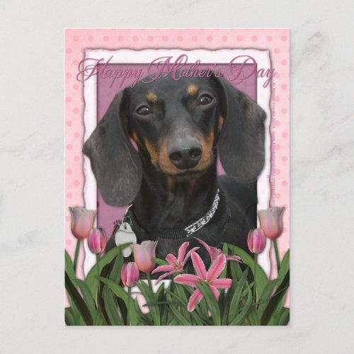 Mothers Day _ Pink Tulips _ Dachshund _ Winston Postcard