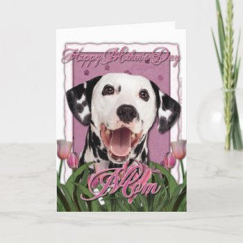 Mothers Day - Pink Tulips - Dalmatian Card by FrankzPawPrintz at Zazzle