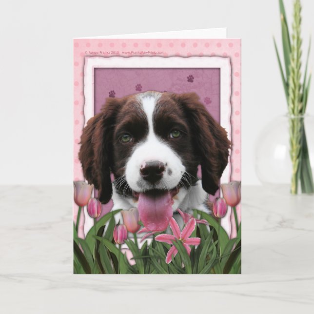 Mothers Day - Pink Tulips English Springer Spaniel Card (Front)