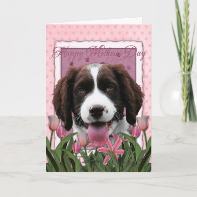 Mothers Day - Pink Tulips English Springer Spaniel Card (Front)