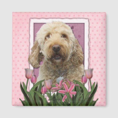 Mothers Day _ Pink Tulips _ Goldendoodle Magnet