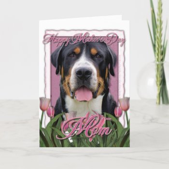 Mothers Day Pink Tulips Greater Swiss Mountain Dog Card by FrankzPawPrintz at Zazzle