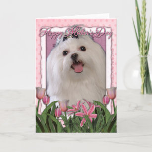 Maltese Mom Dog Mom Mothers Day Card, Maltese, Dog Mom Card, Happy