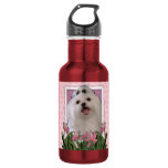 Mothers Day - Pink Tulips - Maltese Stainless Steel Water Bottle