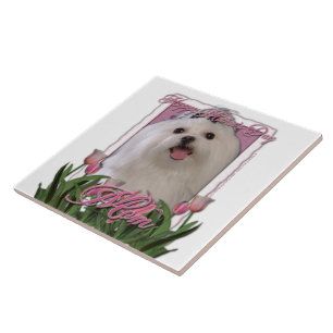 Mothers Day - Pink Tulips - Maltese Tile