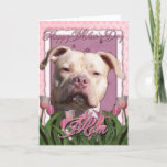 Mothers Day - Pink Tulips - Pitbull - Jersey Girl Card at Zazzle