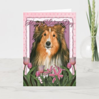 Mothers Day - Pink Tulips - Sheltie Card by FrankzPawPrintz at Zazzle