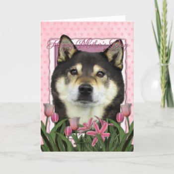 Mothers Day - Pink Tulips - Shiba Inu - Yasha Card by FrankzPawPrintz at Zazzle
