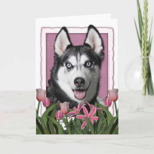 Mothers Day - Pink Tulips - Siberian Husky Card (Front)
