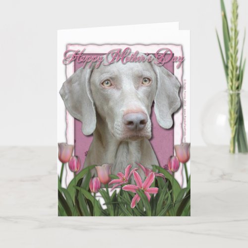 Mothers Day _ Pink Tulips _ Weimaraner _ Gold Eyes Card