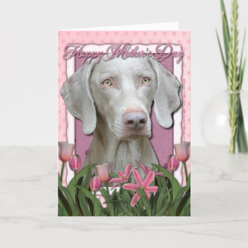 Mothers Day _ Pink Tulips _ Weimaraner _ Gold Eyes Card