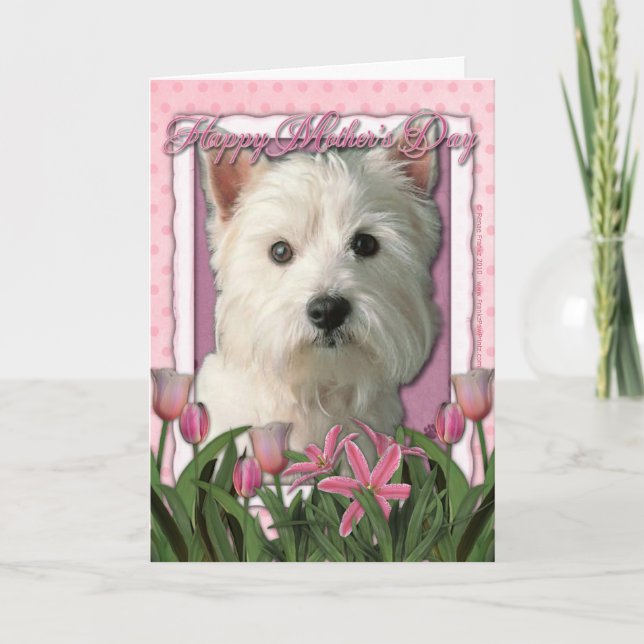 Mothers Day - Pink Tulips - West Highland Terrier Card (Front)