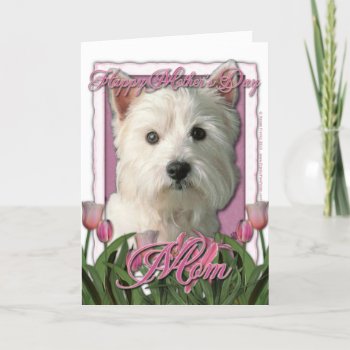 Mothers Day - Pink Tulips - Westie Card by FrankzPawPrintz at Zazzle